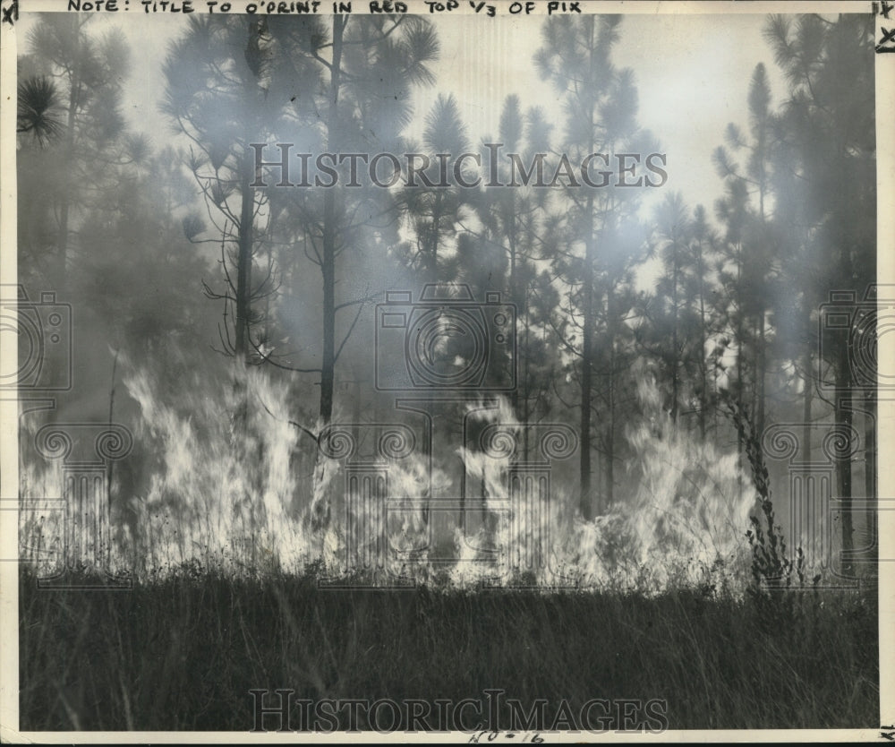 1954 Mechanical detective may be answer to spotting forest fires. - Historic Images