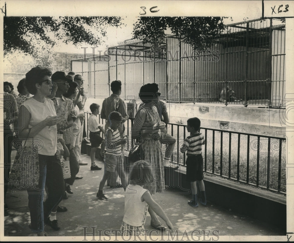 1963 Families enjoying the Audubon Park Zoo- 4th of July Celebration - Historic Images