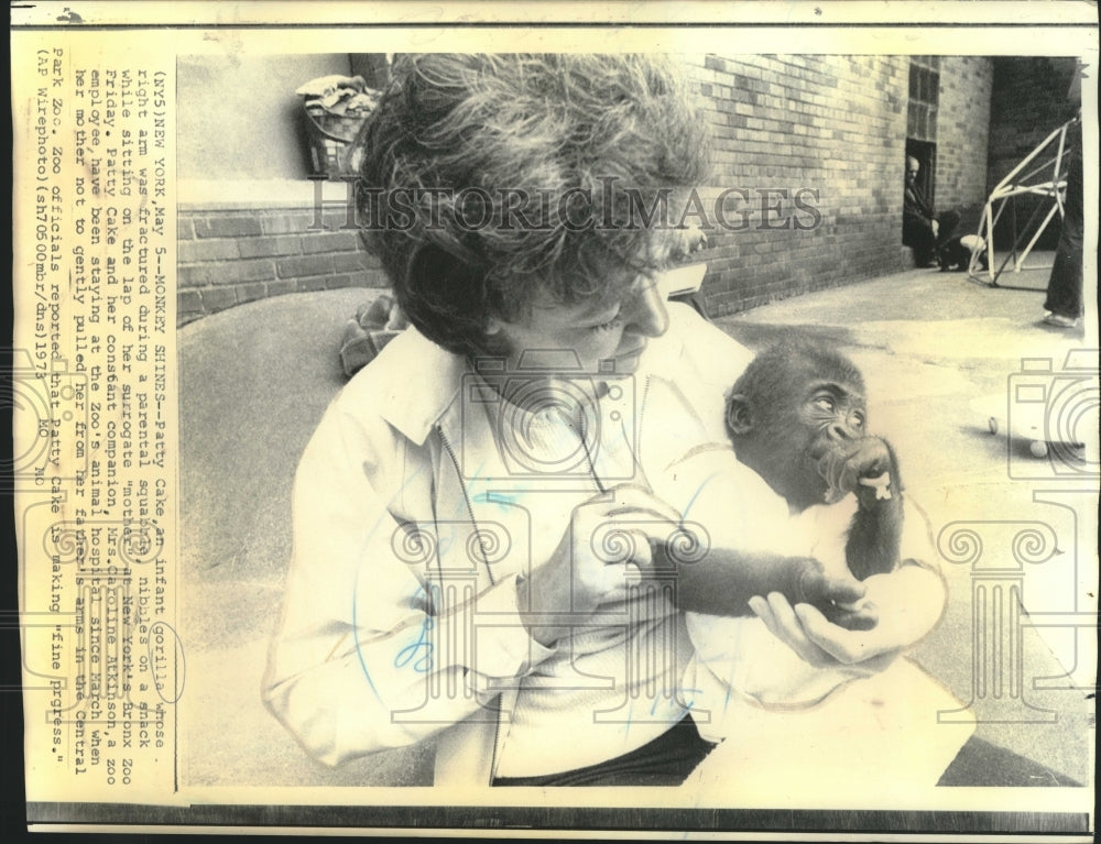 1973 Press Photo Gorilla Patty Cake With Zookeeper Caroline Atkinson In New York-Historic Images