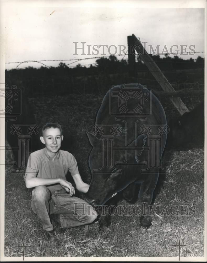 1962 Melvin Thomas, Good Provider with Champion Black Angus Bull-Historic Images