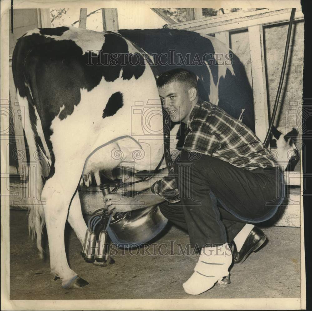 1961 Kermit Russell Junior, Good Provider runner-up, milking a cow - Historic Images