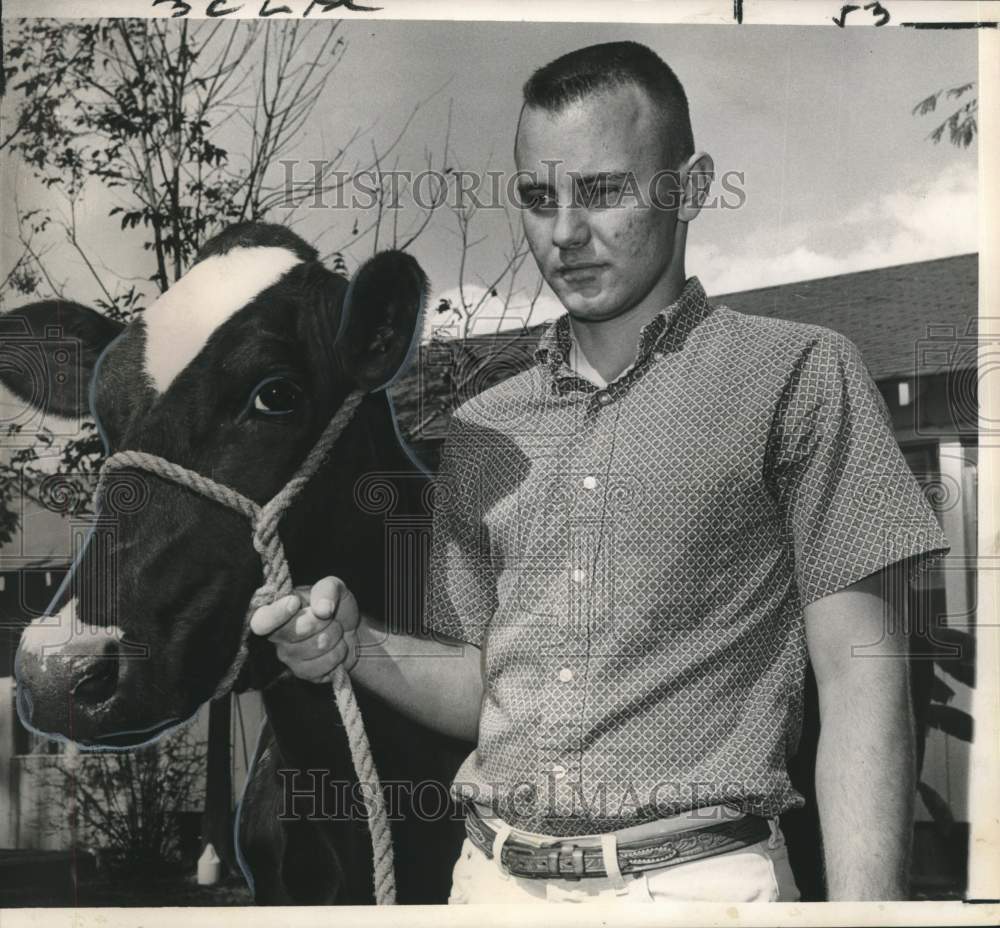 1964 Ruben DeLee, Good Provider, with his prize-winning Holstein - Historic Images