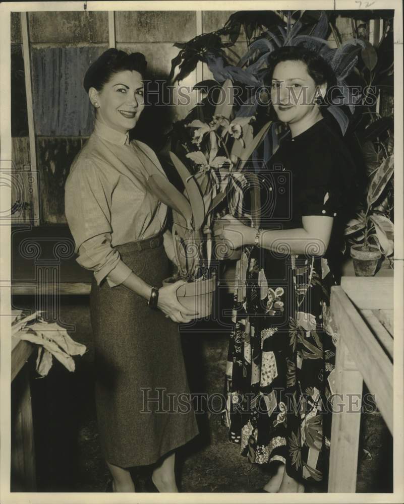 1954 Press Photo Mrs. Archie Hellman, Mrs. Arthur Scheinuk Arrange Flowers-Historic Images