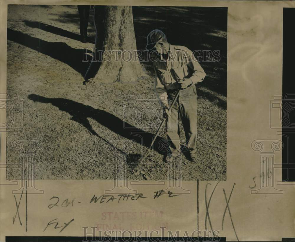 1967 Man raking leaves on Groundhog day in New Orleans-Historic Images