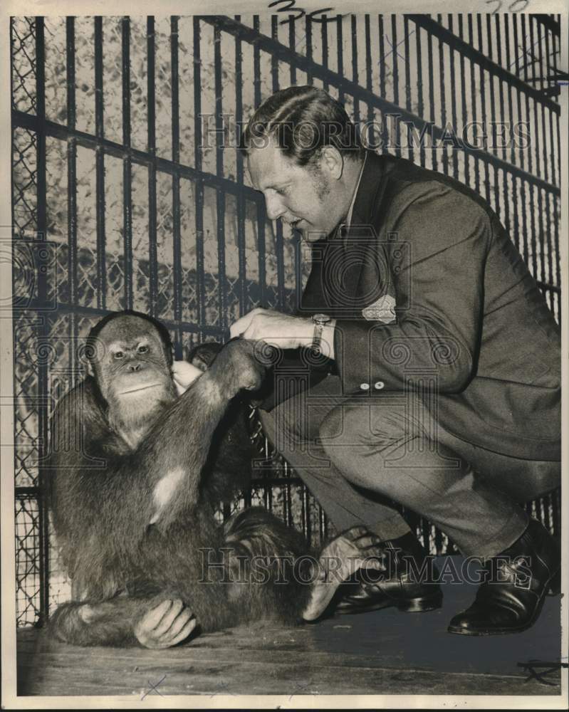 1970 Press Photo Charles Hoessle, Curator of St. Louis zoo with orangutan-Historic Images