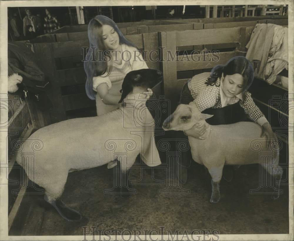 1973 St. Tammany Parish 4-H Members With Market Lambs - Historic Images