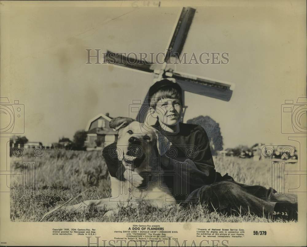 1960 David Ladd and his dog &quot;Patrasche&quot; in &quot;A Dog of Flanders&quot; - Historic Images