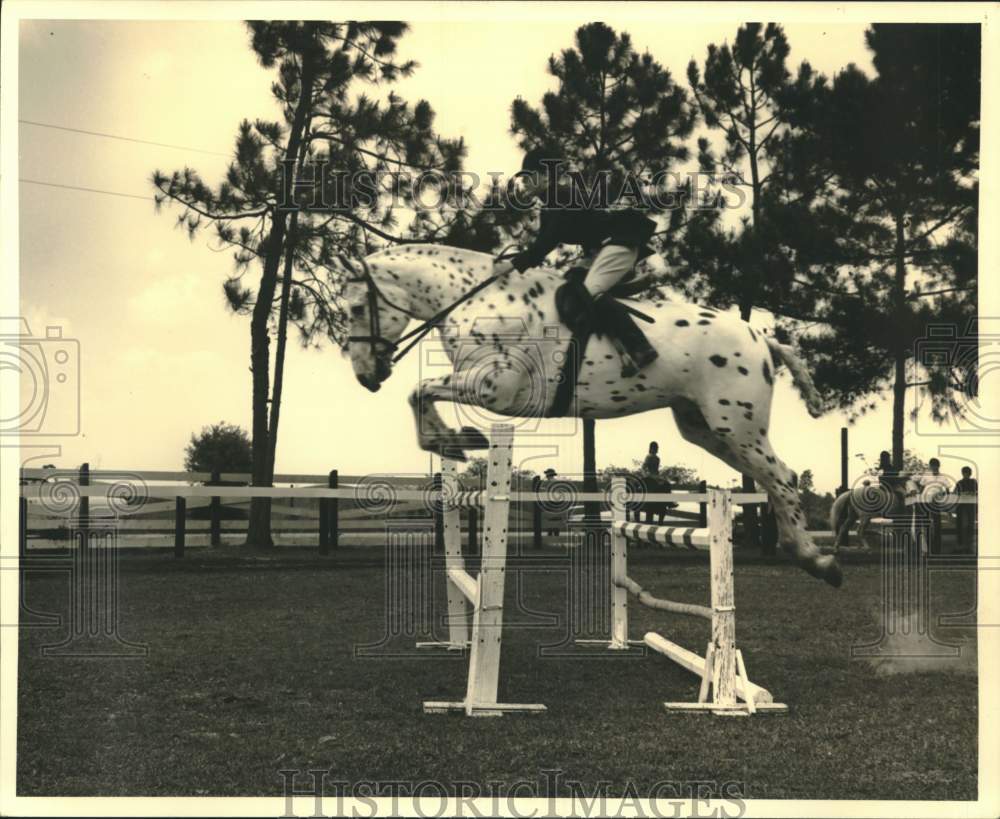 1969 Press Photo Laurie Higgins in the annual North Folsom Spring Horse Show - Historic Images