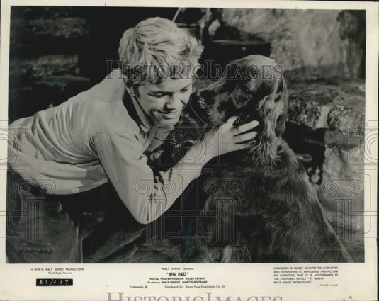 1962 Press Photo Gilles Payant and "Big Red" open at the RKO Orpheum theater - Historic Images