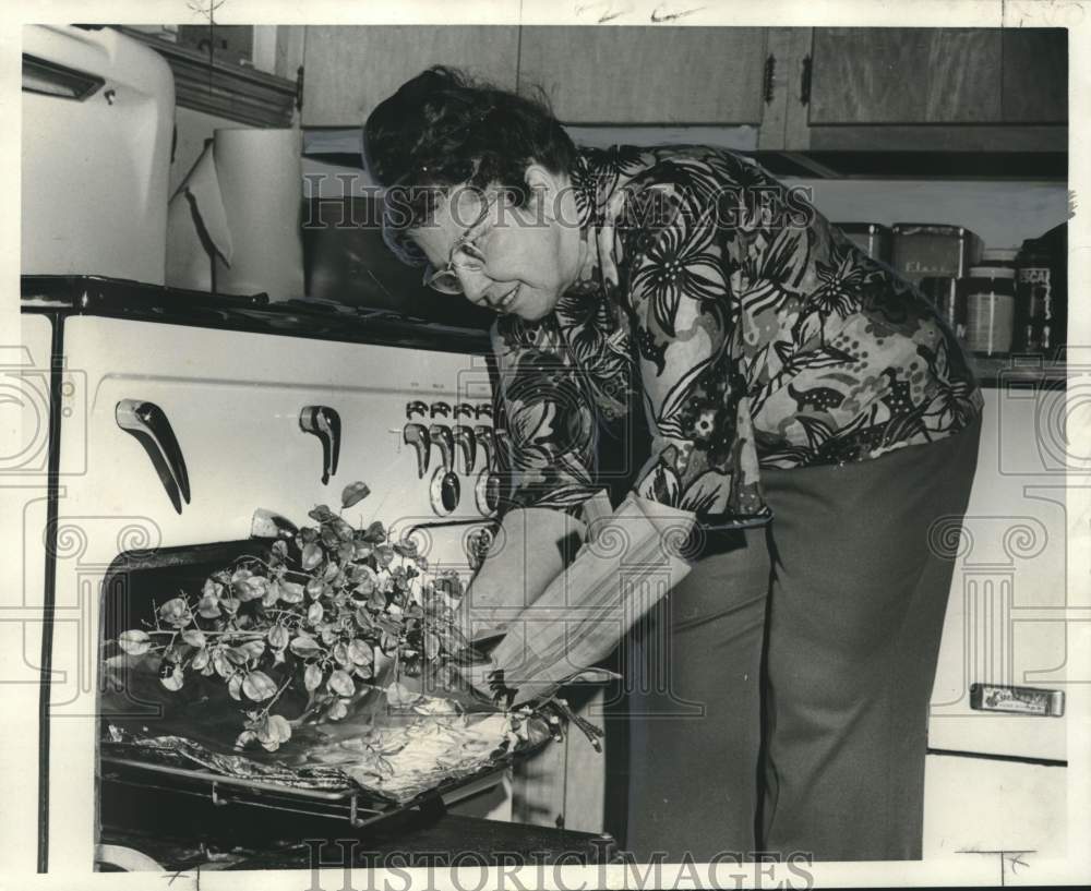 1972 Press Photo Mrs. Herberger dries pods of Golden Rain tree in her oven - Historic Images