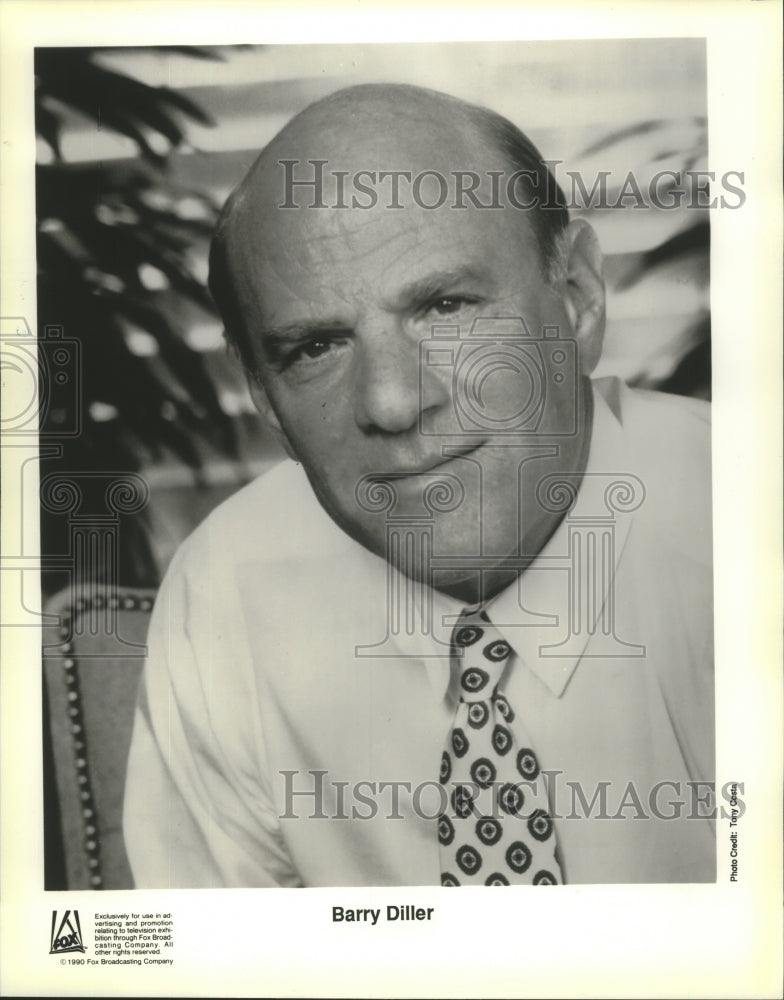 1990 Press Photo Barry Diller, businessman - nop19225-Historic Images