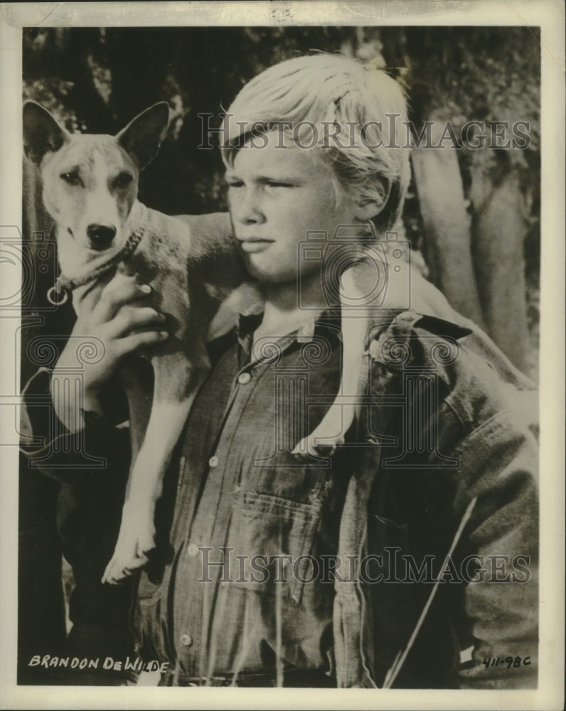 1956 Press Photo Brandon DeWilde, actor. - nop19502 - Historic Images