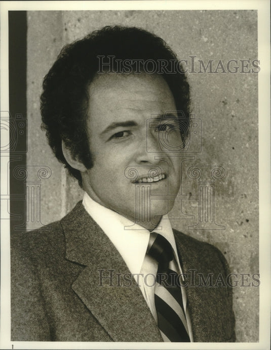 1978 Press Photo Alex Courtney stars in "Sword of Justice," on NBC Television. - Historic Images