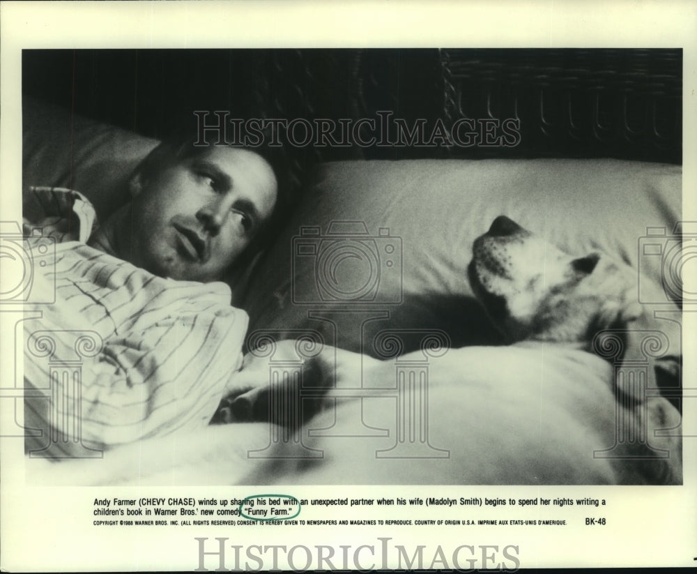 1991 Chevy Chase with a dog in Warner Bros.' comedy "Funny Farm" - Historic Images