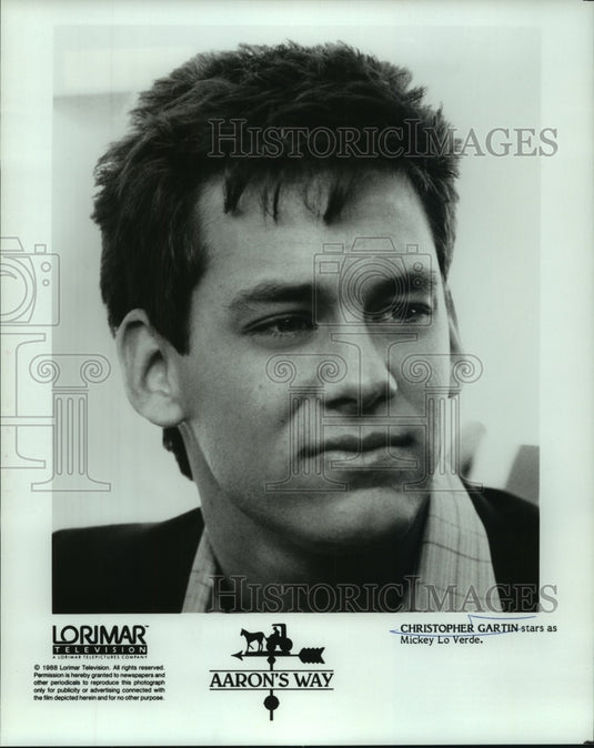 1988 Press Photo Christopher Gartin stars as Mickey Lo Verde in Aaron's Way - Historic Images