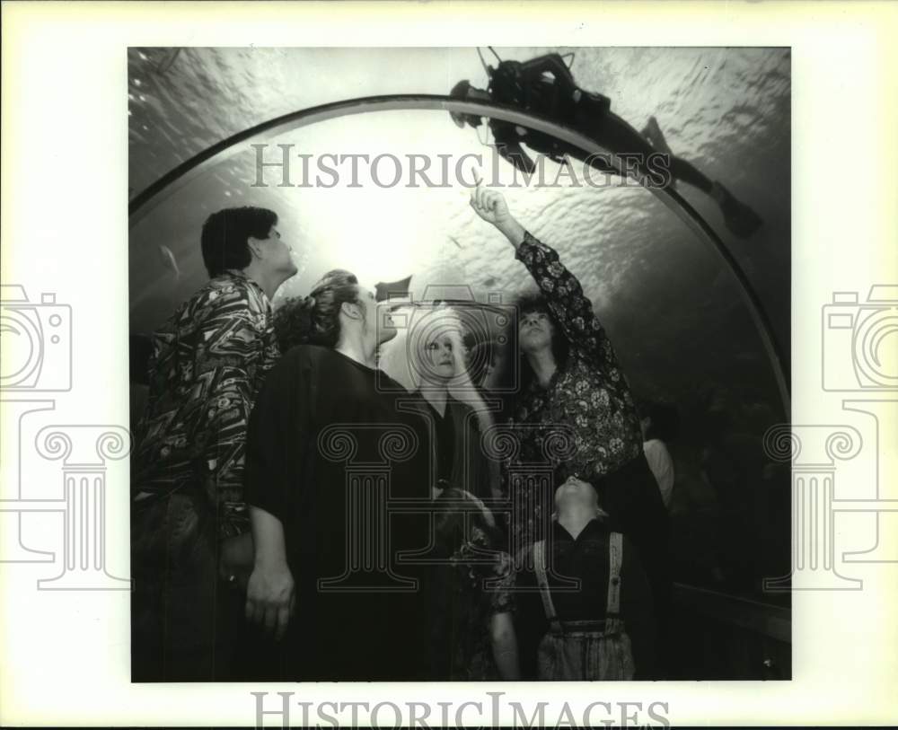 1991 Press Photo Glitter N Gold band walk through the Aquarium of the Americas-Historic Images