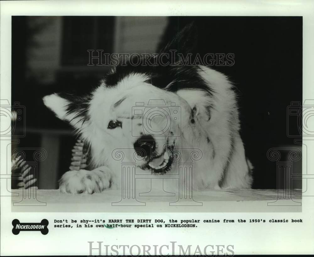 1991 Press Photo Harry The Dirty Dog in half-hour special in Nickelodeon-Historic Images