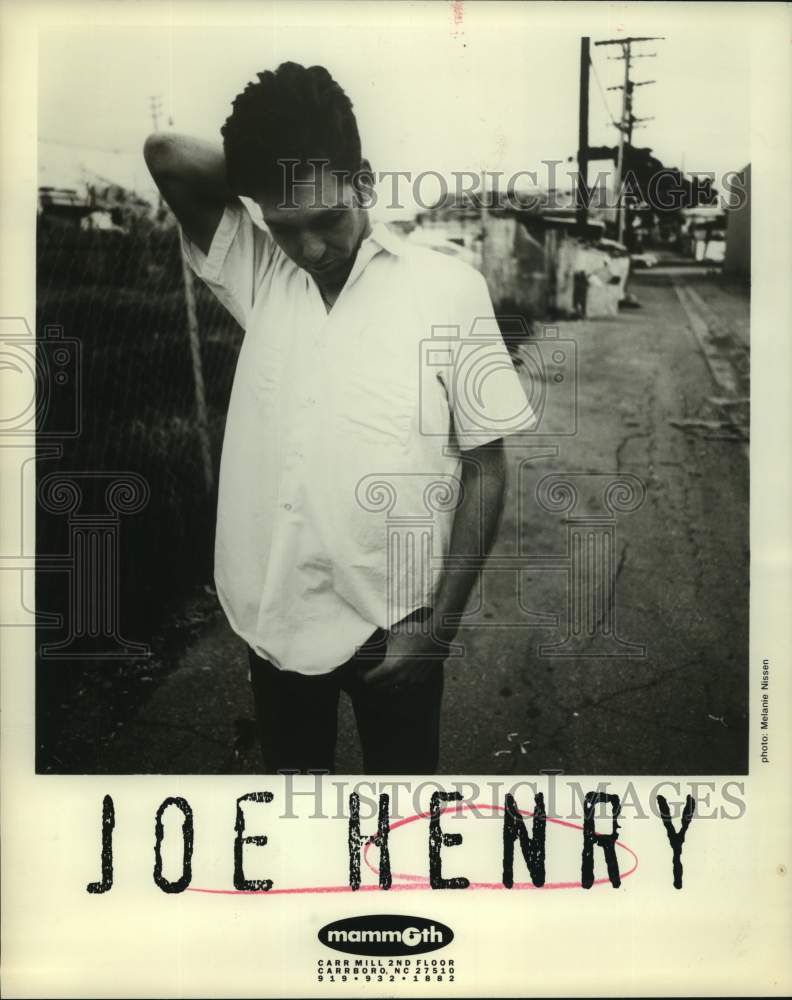 1994 Press Photo Joe Henry, musician - nop34593-Historic Images