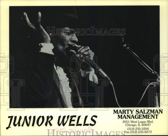 1994 Press Photo Junior Wells, Chicago blues vocalist & recording artist-Historic Images