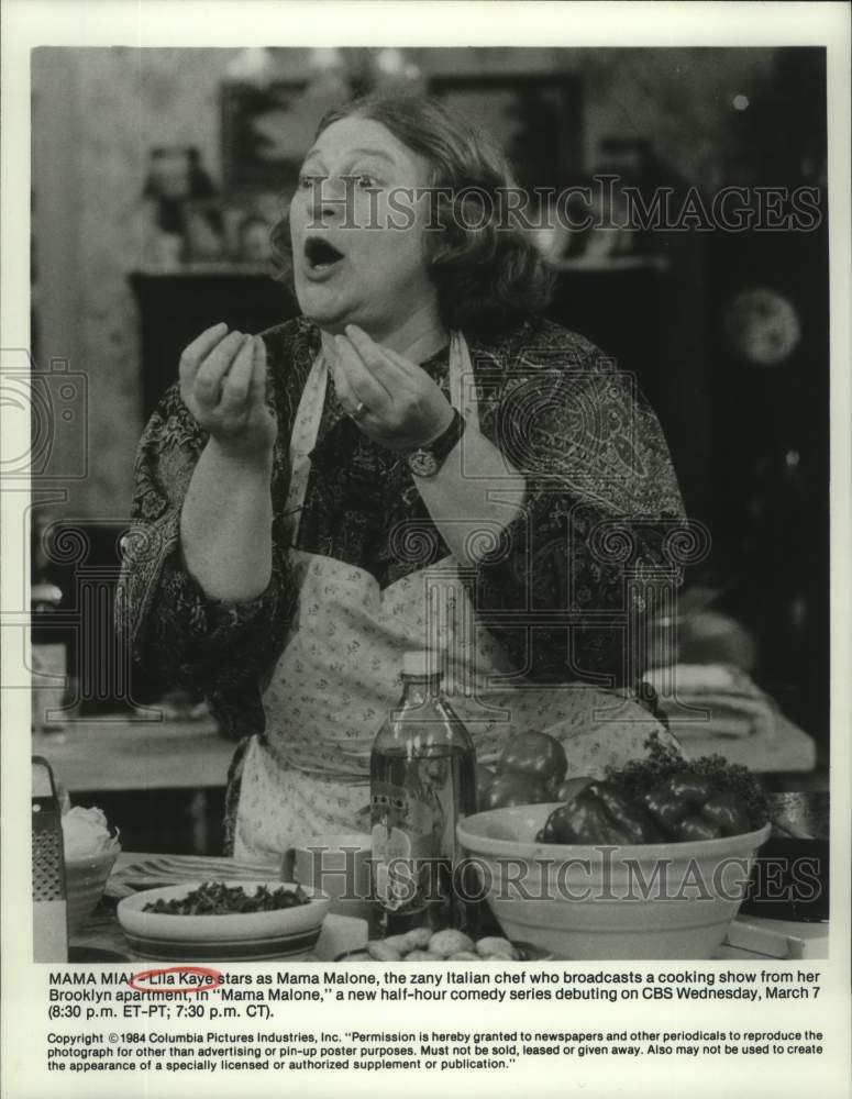 1984 Press Photo Lila Kaye stars in &quot;Mama Malone&quot; on CBS-TV - nop40547-Historic Images