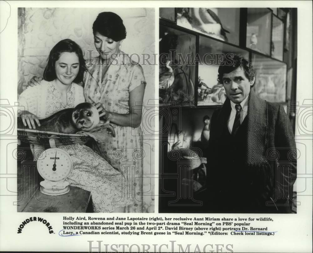 1988 Press Photo Actors in scenes from the television series "Seal Morning"- Historic Images