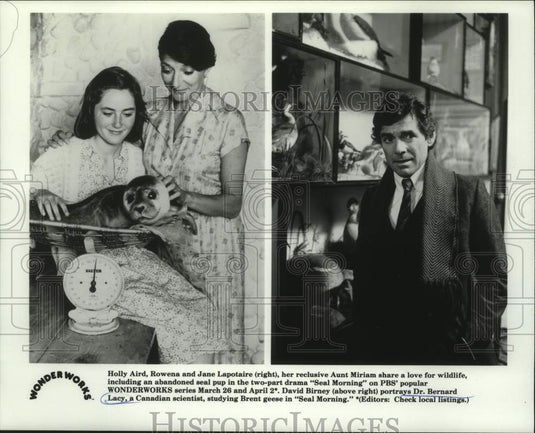 1988 Press Photo Actors in scenes from the television series "Seal Morning"- Historic Images