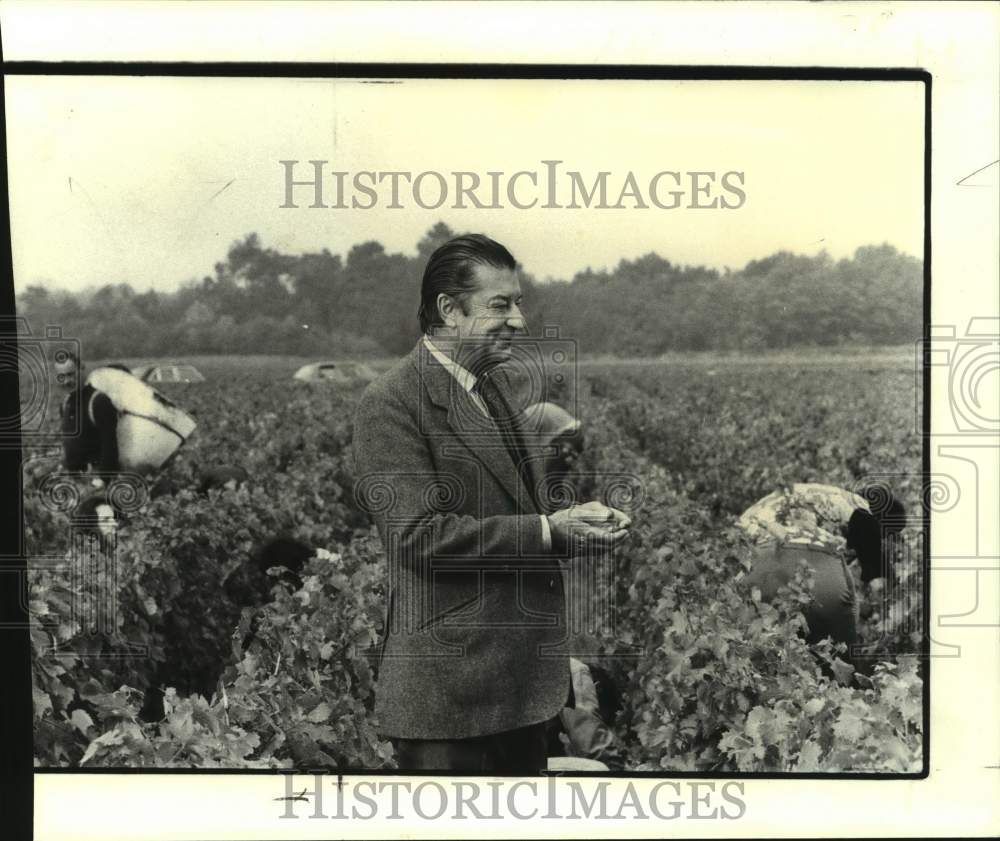 1977 Press Photo Alexis Lichine in his vineyard in Margaux, France. - nop45605-Historic Images