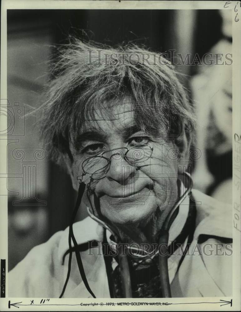 1975 Press Photo Walter Matthau, Actor in closeup - nop53378-Historic Images