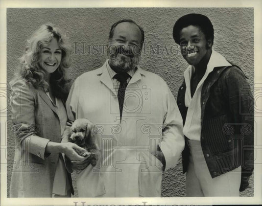 1980 Press Photo Cast of ABC's "Turnover Smith" - nop57374-Historic Images