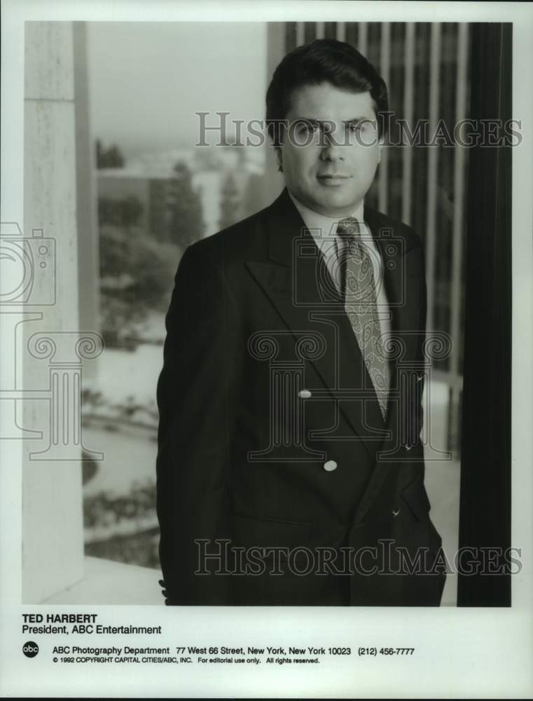 1992 Press Photo ABC Entertainment President Ted Harbert - nop58610-Historic Images