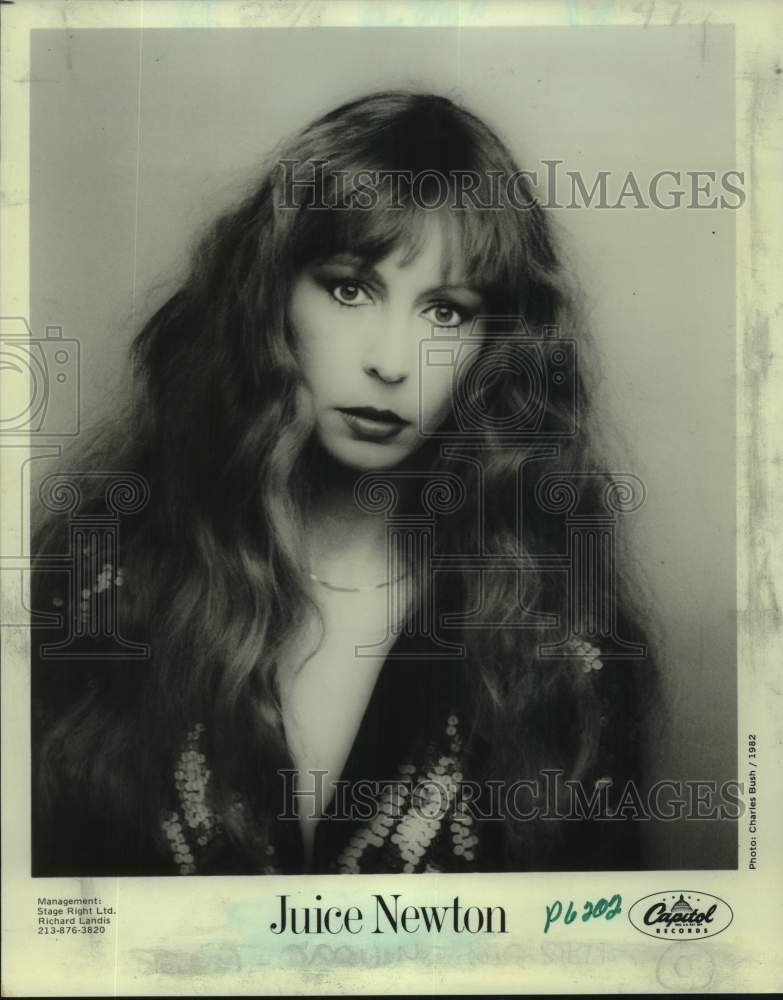 1982 Press Photo Juice Newton, American singer-songwriter and musician - Historic Images