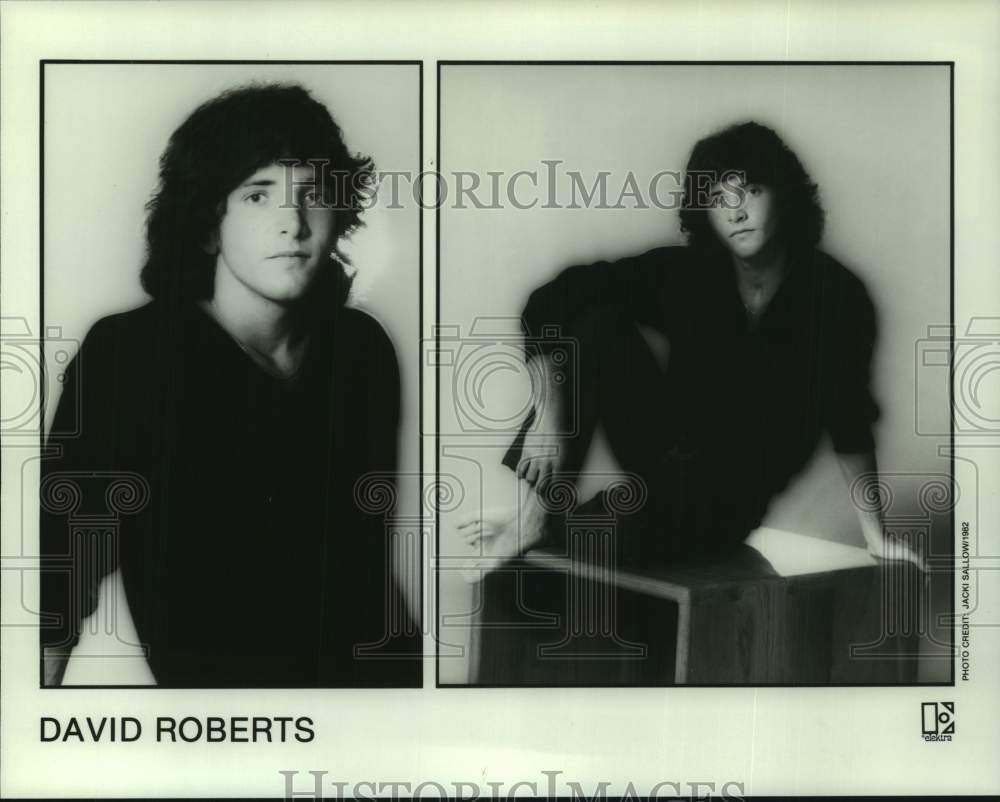 1982 Press Photo Elektra recording artist David Roberts - nop74376-Historic Images