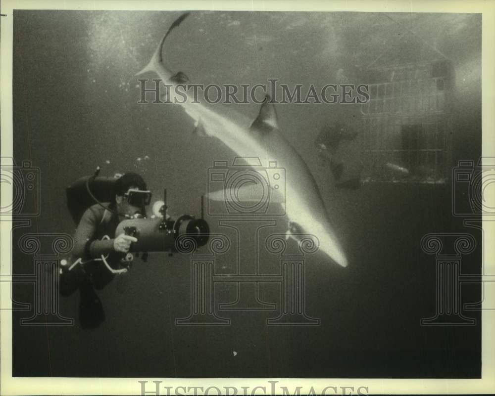 1979 A cameraman focuses on a big shark in NBC's "Sharks" - Historic Images
