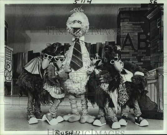 1981 Press Photo Big Bird and Seedy Birds in Sesame Street Live - nop77785-Historic Images