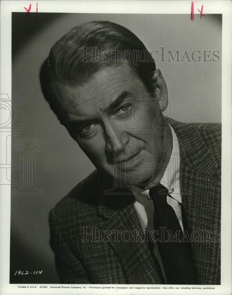 1966 Jimmy Stewart, lead actor in the western film, "The Rare Breed" - Historic Images