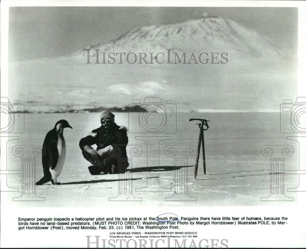 1981 Emperor penguin inspects a helicopter pilot at South Pole-Historic Images