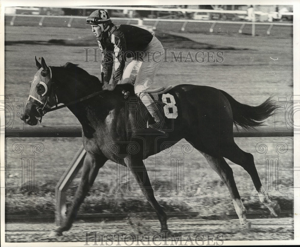 1979 Press Photo Fairgrounds- Faneiul Boy favorite to win first division.- Historic Images