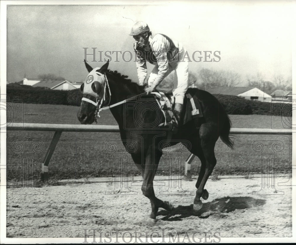1972 Felonious with Lane P. Suire up - Historic Images