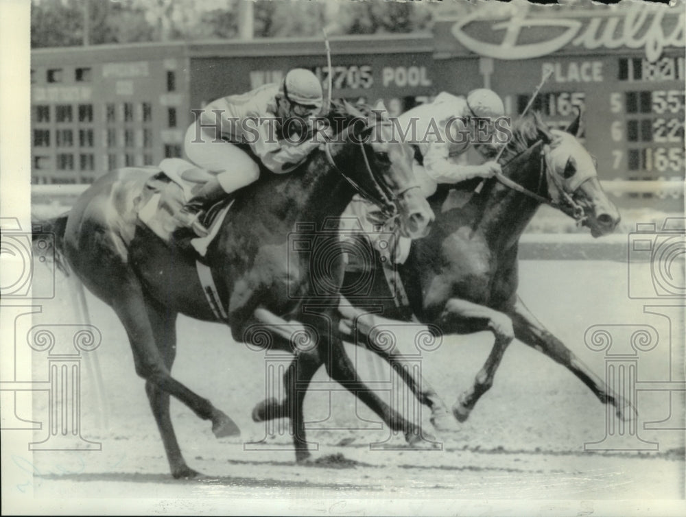 1975 Long shot does it in first race at Gulfstream Park. - Historic Images