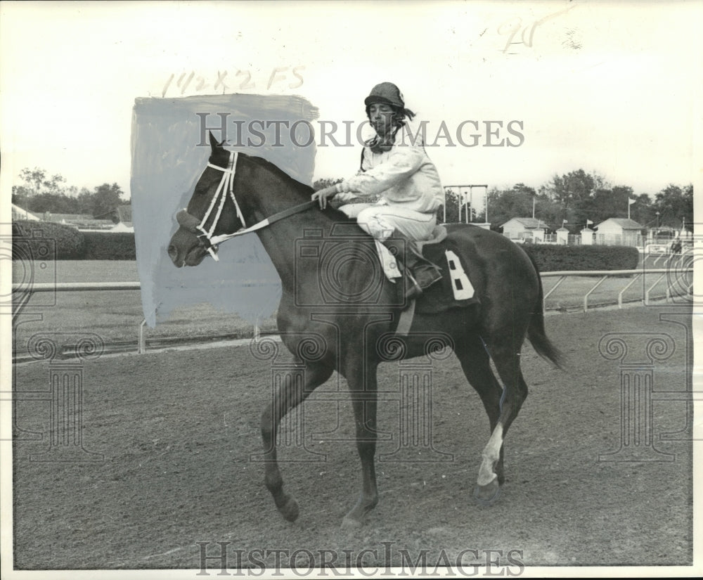 1976 Horse Racing - Hang Ten, Louisiana Derby Nomination - Historic Images