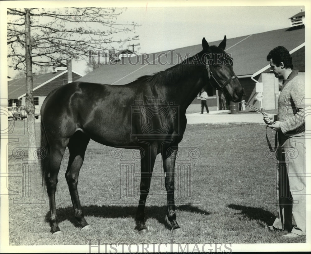 1982 Press Photo Horse Racing- Flying Partner poses for pictures. - nos00610- Historic Images