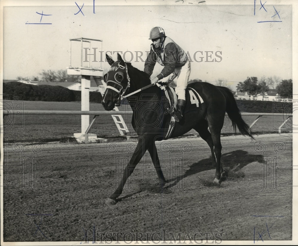 1971 Horse Racing- M.H. Van Berg Stable&#39;s Gold Rags runs today. - Historic Images