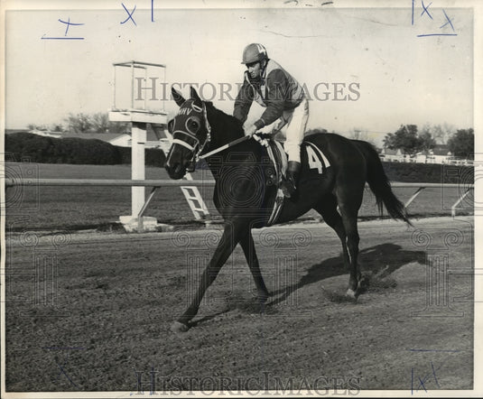 1971 Horse Racing- M.H. Van Berg Stable's Gold Rags runs today. - Historic Images