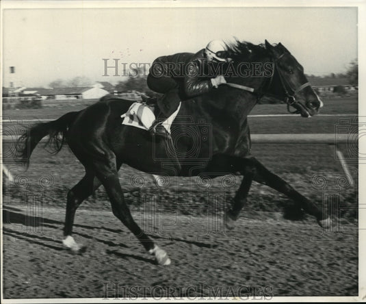 1972 Horse Racing- Jim's Alibi with Roger Cox up. - Historic Images