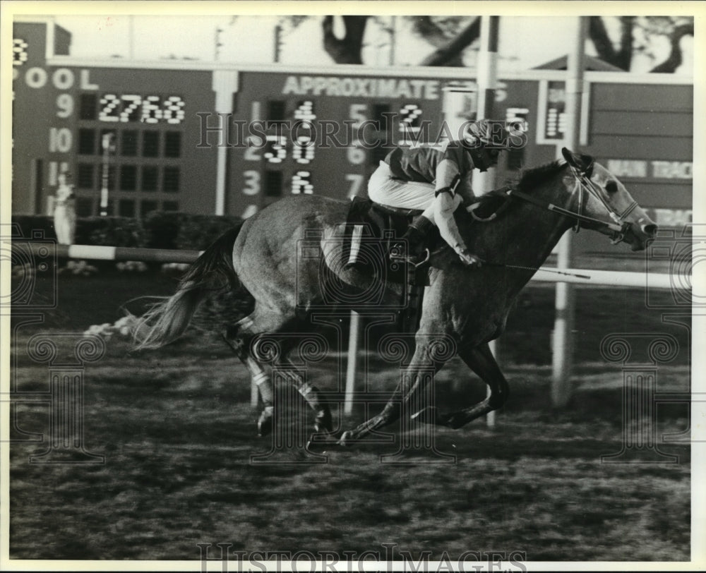 1987 Horse racing- Ingot&#39;s Ruler, Ronnie Fletcher up wins. - Historic Images