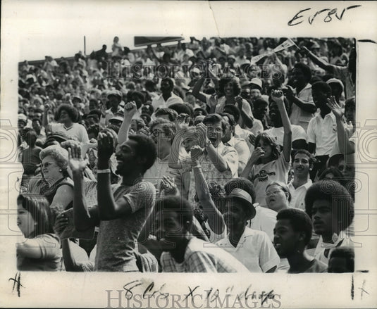 1974 Press Photo New Orleans Saints-Bedlam reigns in the stands. - nos00784 - Historic Images