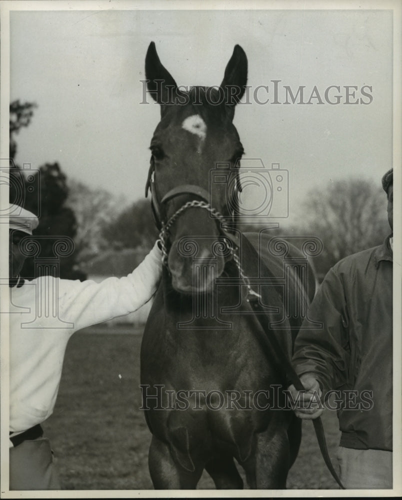 Press Photo Horse Racing - Kingmaker - nos01122-Historic Images