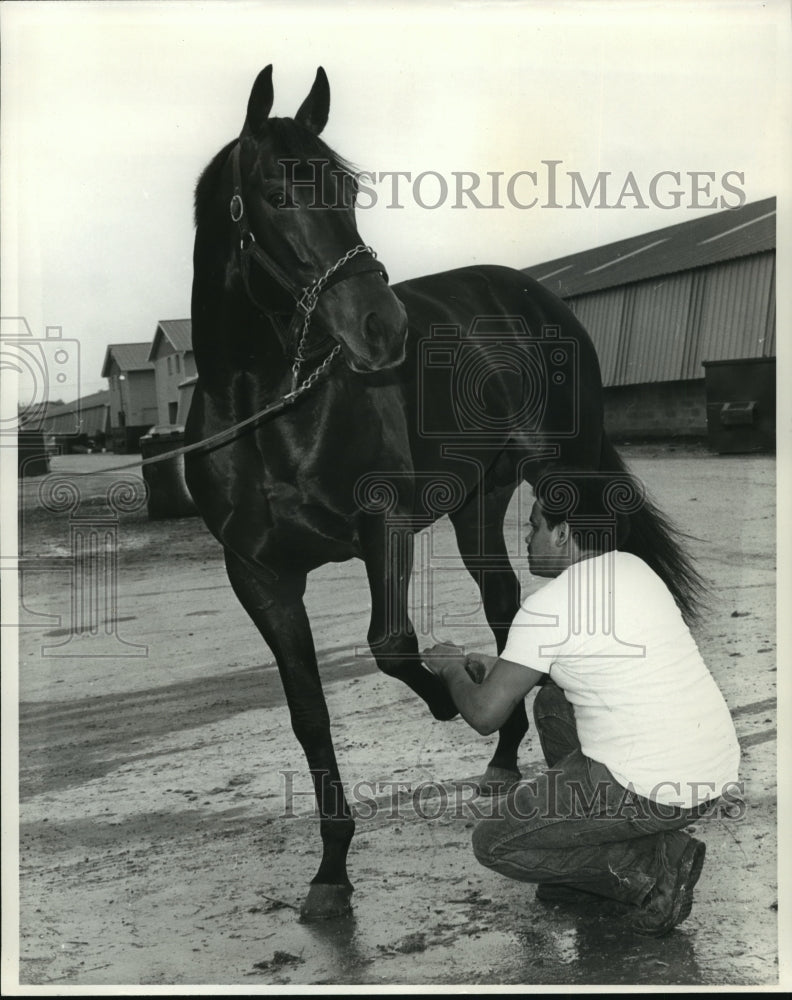 1977 Horse Racing- Cylinder with groom James Lyons. - Historic Images