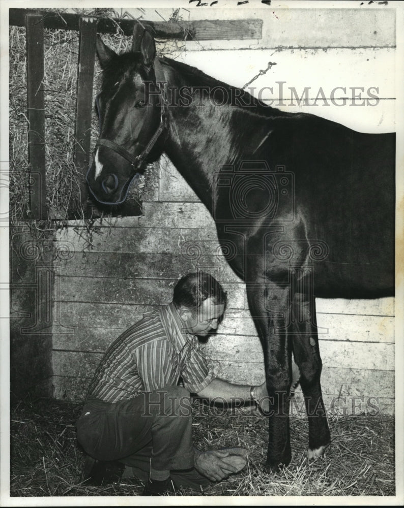 1971 Horse Racing- Joe Gosling checks out Imakolee. - Historic Images