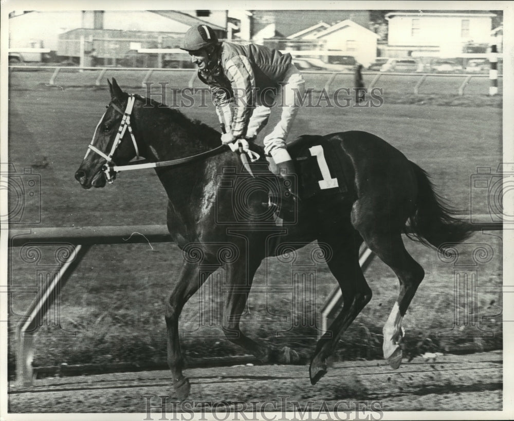 1975 Horse Racing- Honey Mark, Jockey Larry Melancon. - Historic Images